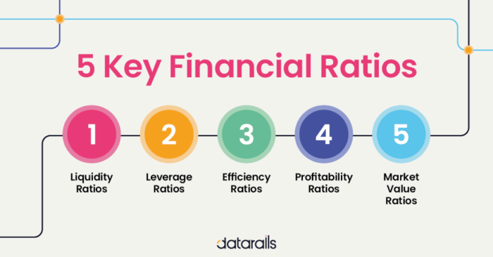 Financial ratio ratios analysis liquidity types key formulas interpretation complete guide beginner why