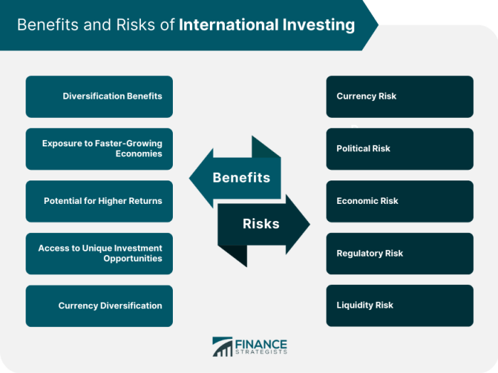 International investments