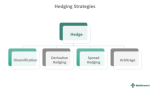 Fund hedge strategy funds short long level