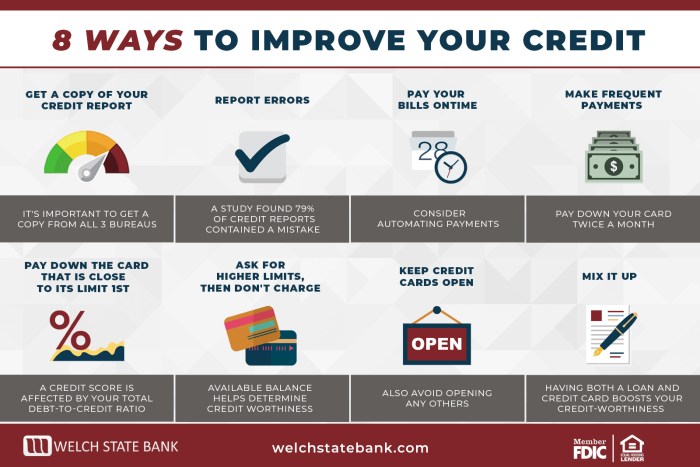 Credit raise score fast infographic ways hacks mentioned potentially try four order below