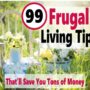 Frugal living tips