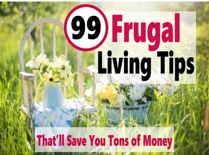 Frugal living tips