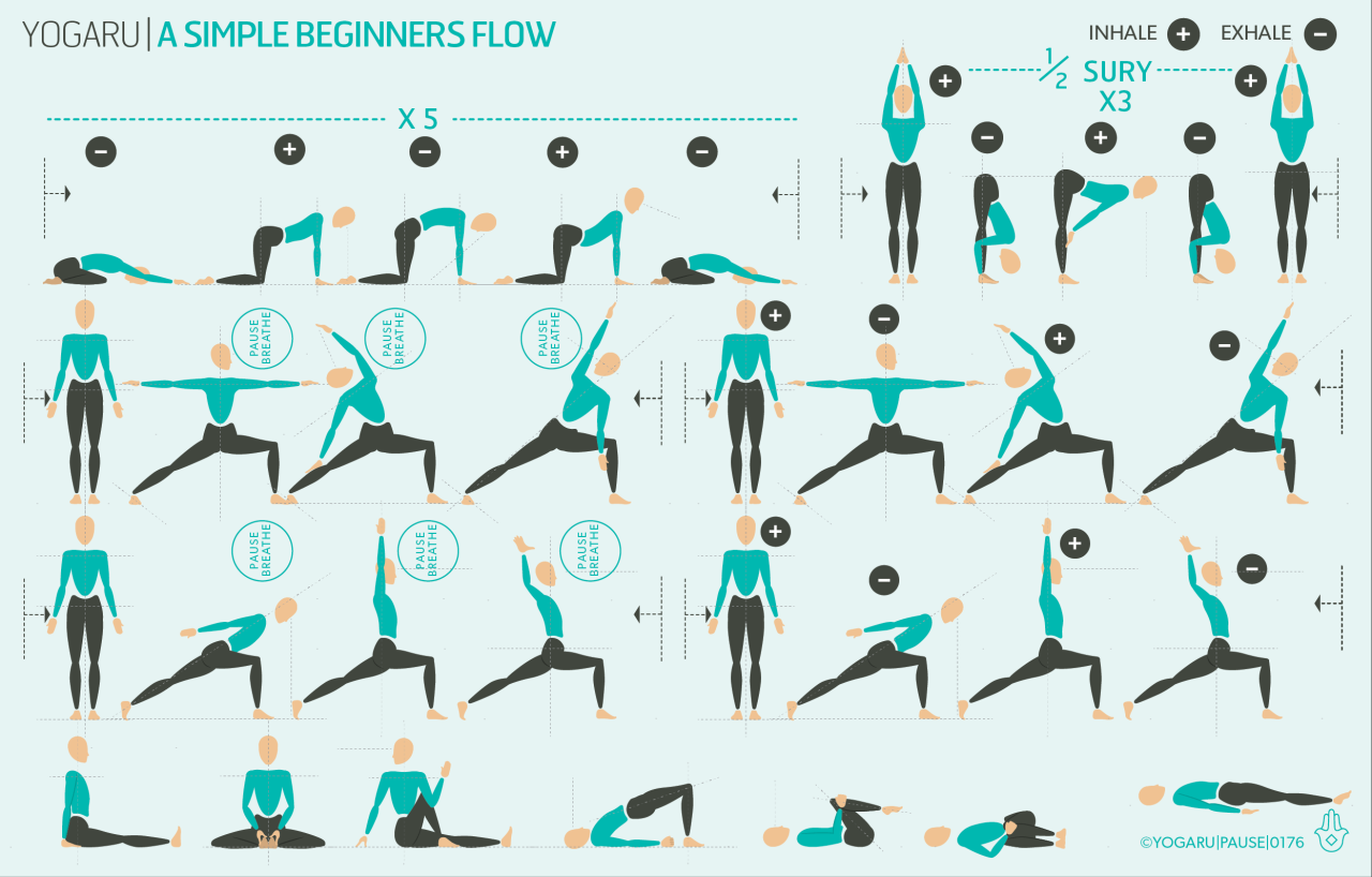 Yoga for Beginners