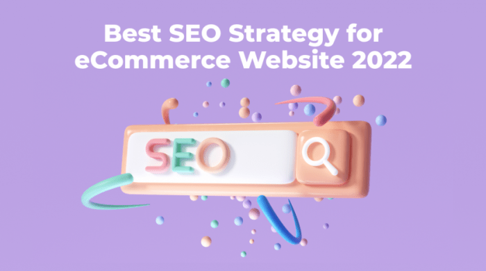 SEO for E-commerce Websites