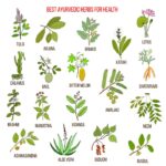 Herbs for boosting metabolism